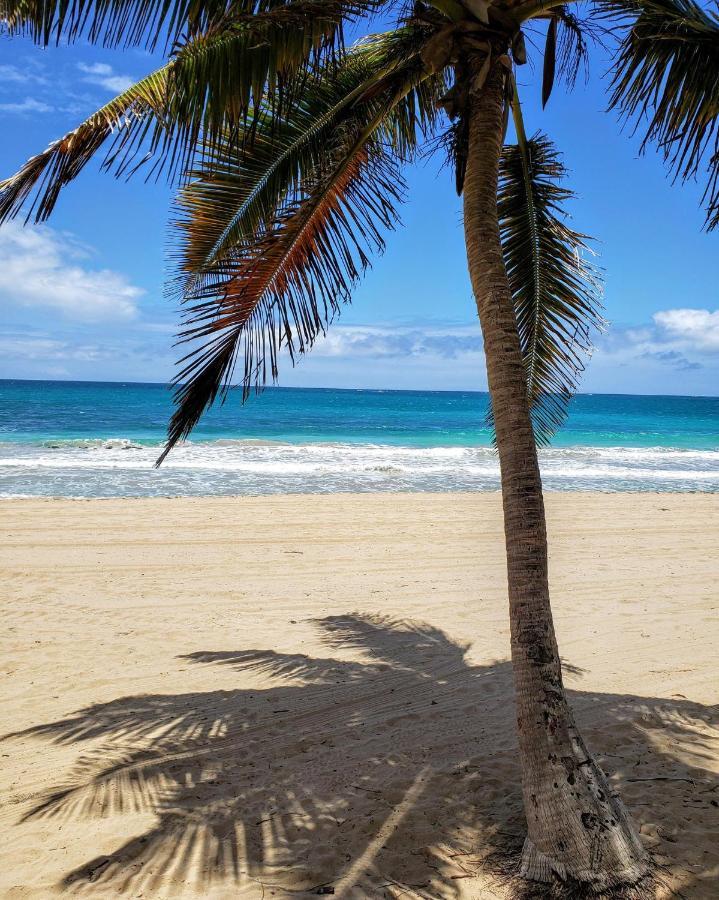 Kasa Ocean Breeze Beachfront Condo Pool San Juan Exteriör bild